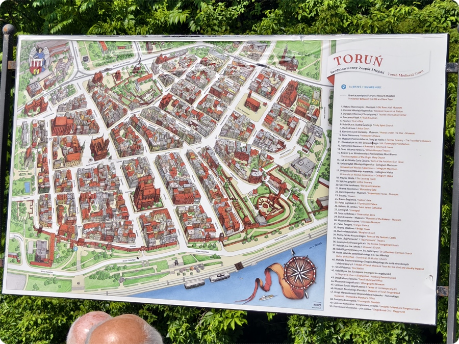 Überblick über die Altstadt von Toruń