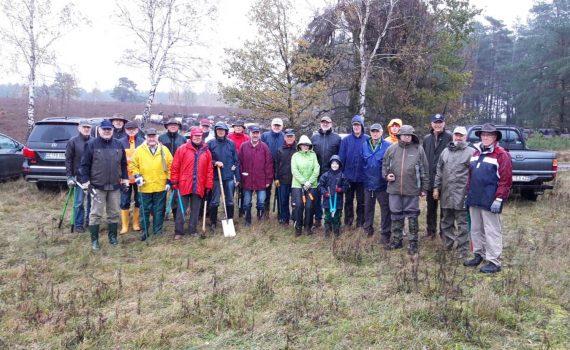 Lions Clubs Wienhausen - Flotwedel und Hermannsburg-Bergen entkusseln die Heidefläche in Scharmbeck